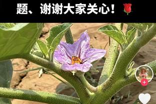 里程碑！梅西职业生涯达成联赛500球大关